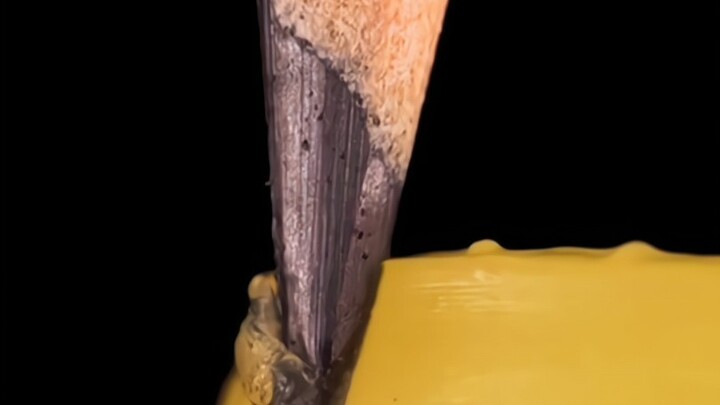 “The World Seen Through a Microscope”