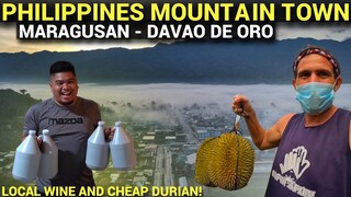 PHILIPPINES MOUNTAIN TOWN - Cheap Durian and Local Wine In Davao (Province Life)