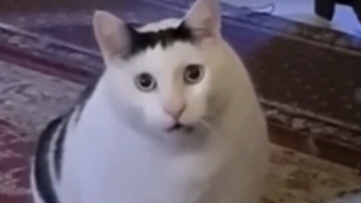 “The Root of All Evil”