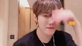 四大最火的舞蹈，Alex，刘也，陆柯燃，哈妮克孜，你更喜欢谁？