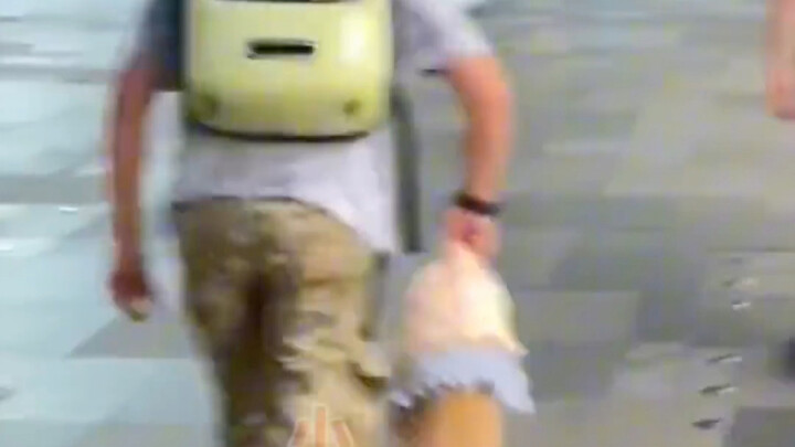 一只想摆烂的小猫咪