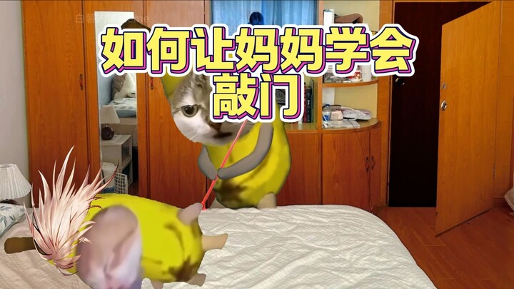 كيف تجعل أمي تطرق الباب