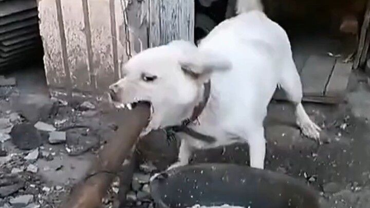 Kalau nggak bisa dibuat akrab, ya masak aja~