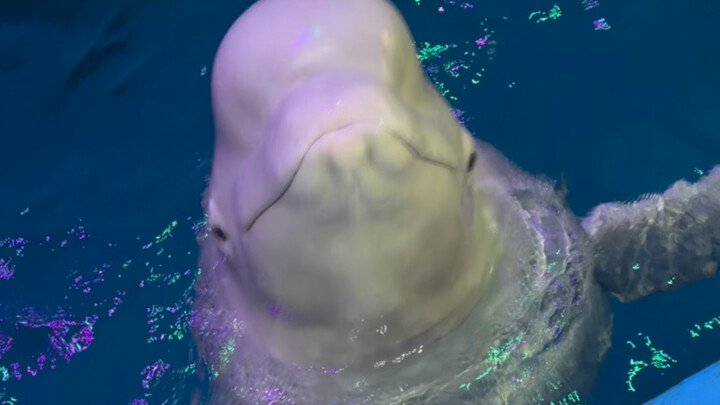 Sudah lama sekali tidak makan es batu