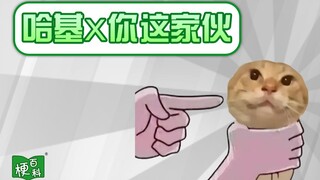 【梗百科】哈基X，你这家伙！是啥梗？