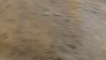 @igaycockpit 2 hits champion 2nd fyt