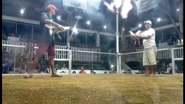 White hennie 2nd fight (Champion)