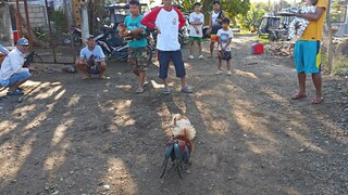 alimbuyog vs white