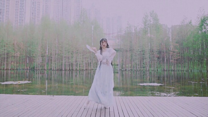 〖Song〗The strings of the zither♢ let my heart sway like duckweed with the ripples