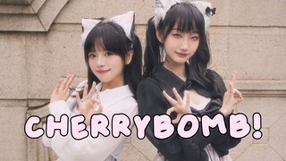 【Xiaoxiao x Hagi】Meo~Cắn thử quả bom anh đào ngọt ngào này nhé! 🍒Quả bom anh đào!!