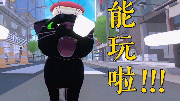 «الهريرة الصغيرة في المدينة الكبيرة» متوفرة رسميًا الآن!