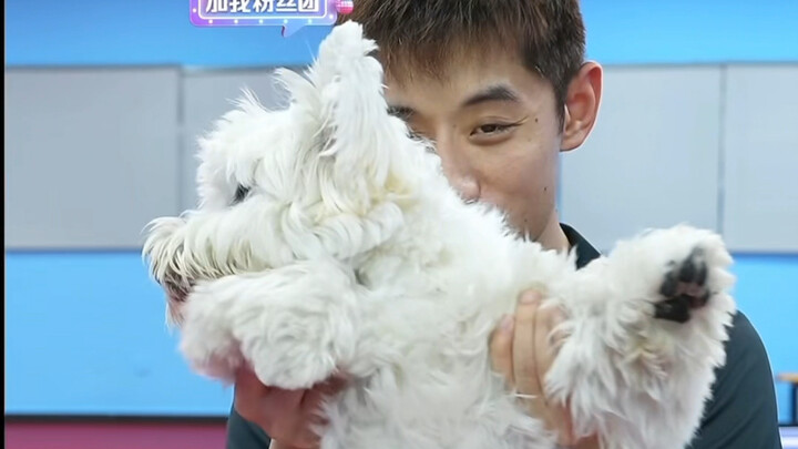 Aku benar-benar akan meleleh melihat Zhang Jike dan anjing kecilnya, Mengshu, yang memeluk medali em