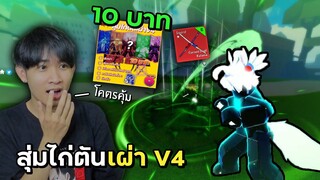 สุ่มไก่ตันราคาถูก 10บาท การันตีเผ่าV4 จะได้เผ่าอะไร? | Blox Fruits Roblox