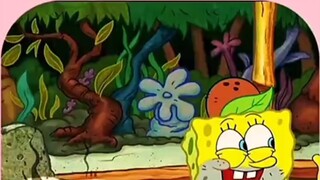 SpongeBob thành lập "Vua Burger Dừa Ngon" của riêng mình