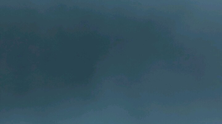 last sentinel