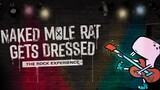 Watch Full Move Naked Mole Rat Gets Dressed The Underground Rock Experience Free Link in Description