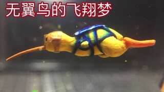 献给所有为梦想努力奋斗的人