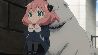 Aniya dijemput oleh seekor anjing! Anjing: Sulit untuk merawat bayi