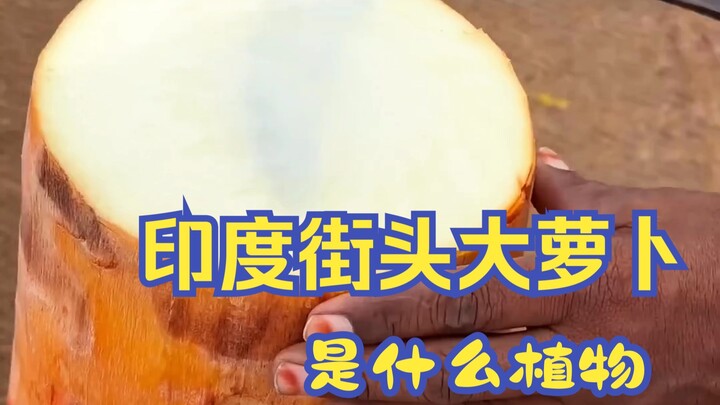 What on Earth Is That Mysterious Giant Radish on the Streets of India?