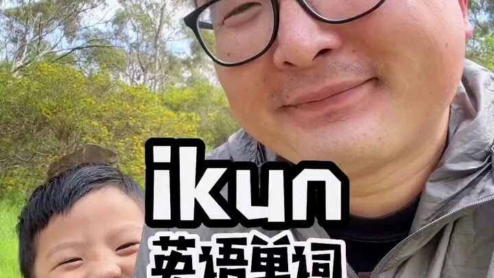 What is the English word for ikun? It's in the dictionary!