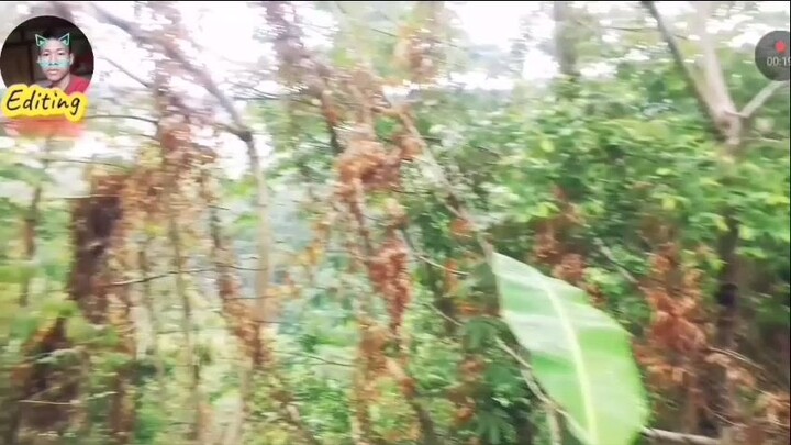 kung hindi ngayun ang panahon kahit ano mang pag subok na domating sa buhay kaya wag kang iiwas 🎞️