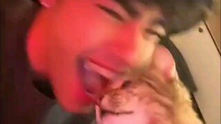 The reaction when a cat gets a kiss