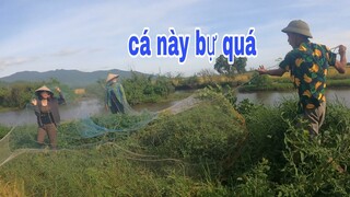 Chuyện Lạ Tư Cà Khịa Chài Cá Trên Cạn Được 2 Con Cá Bự Chản