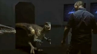 Maybe... humans are not weaker than dinosaurs...