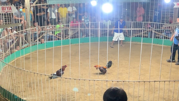 Golden Boy from red gf