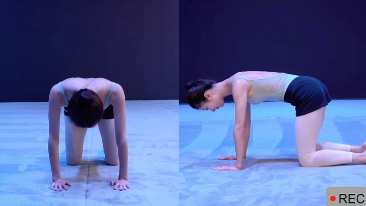 Adolescent Dance Posture Assessment Course