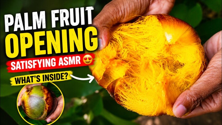 打开新鲜棕榈果 🌴 #棕榈果 #ASMR #水果