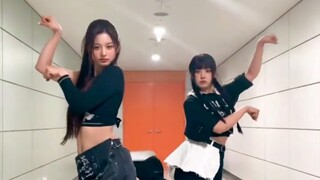 雪允和智羽搞笑Challenge 猫和兔