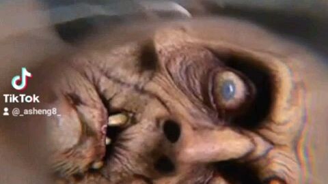 hi i'm Sophia but you ken call me Sophi okay