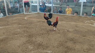 2HITS ULUTAN 2nd FIGHT LOSS!!!