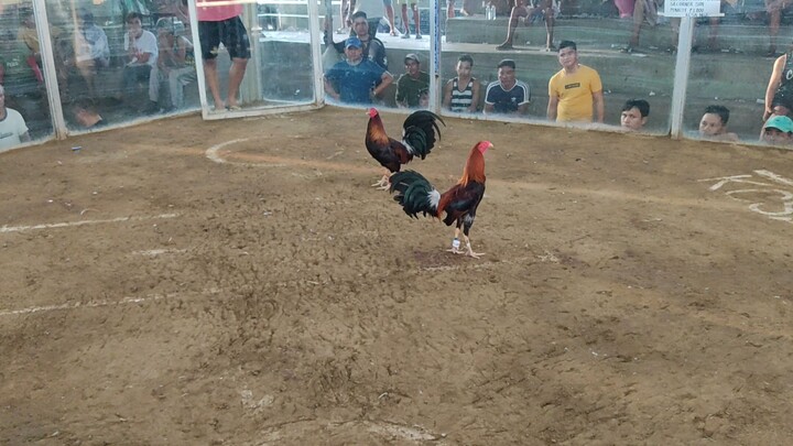 2HITS ULUTAN 2nd FIGHT LOSS!!!