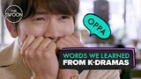 Words_we_learned_from_K-dramas_[ENG_SUB]🤣
