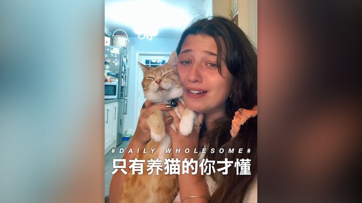 Only cat owners will understand.