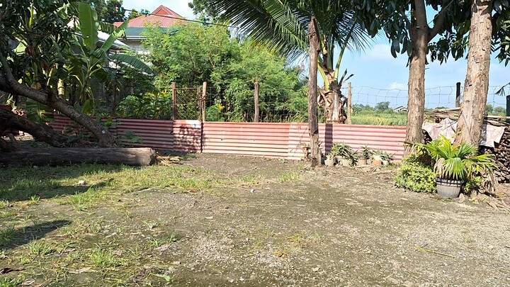 Obi-wan  vs  Agent Orange