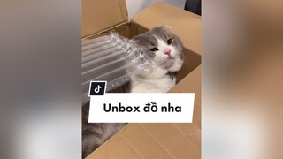 Unbox đồ mới sắm cbi đón em Ber (p.1) xem đến cuối để xem Beo sắp ra rìa hihi mèo TetHungKhoi xuhuong unboxing