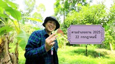 ตามอำเภอจาน พาไปเก็บสวน ต้นอุตพิด ที่ อ.พรหมคีรี จ.นครศรีธรรมราช วันอังคารที่ 22 ก.ค. เวลา 18.00 น.