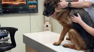 Mommy Sauce: Baby's Afraid to Go to the Hospital. Mommy Sauce: Baby's Afraid to Go to the Hospital.