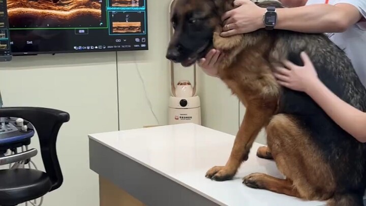 Mẹ Tương Ơi, Bé Sợ Đi Bệnh Viện, Mẹ Tương Ơi, Bé Sợ Đi Bệnh Viện