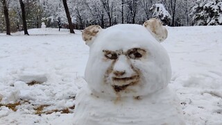 一分钟教你堆个不太一样的雪人