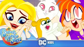 DC Super Hero Girls | Super Pets! 🐾 | @DC Kids
