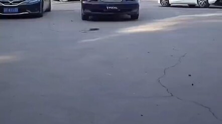 Abandoned Car, Disassembled