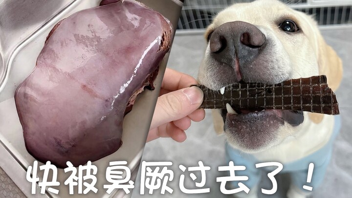 Làm một món ăn vặt cho chó thực sự có mùi hôi