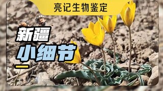 Xinjiang is really interesting