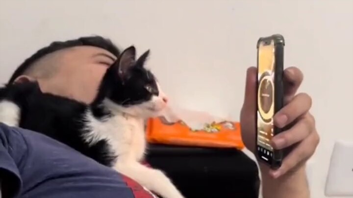 These two sure look alike!