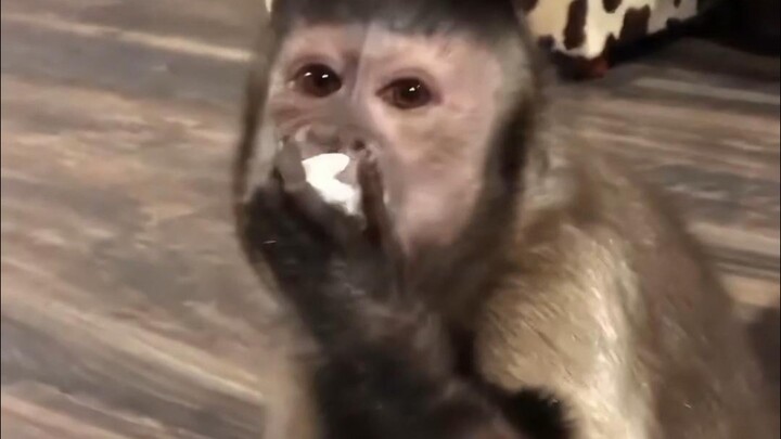 Rasanya lebih pintar dari teman saya