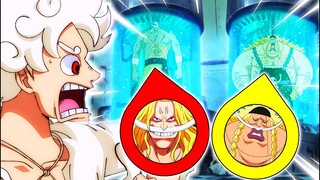 [ODAs HINWEIS] DIE UNGLAUBLICHE KLON-WENDUNG IN ONE PIECE..?! 😱